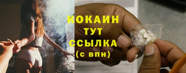 кокс Белокуриха