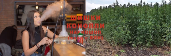 кокс Белокуриха