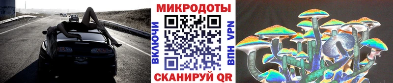 Псилоцибиновые грибы Psilocybe  Купить закладки  Барабинск 